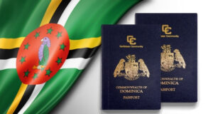 Dominica CBI Program: The Best Bet for the Global Mobility