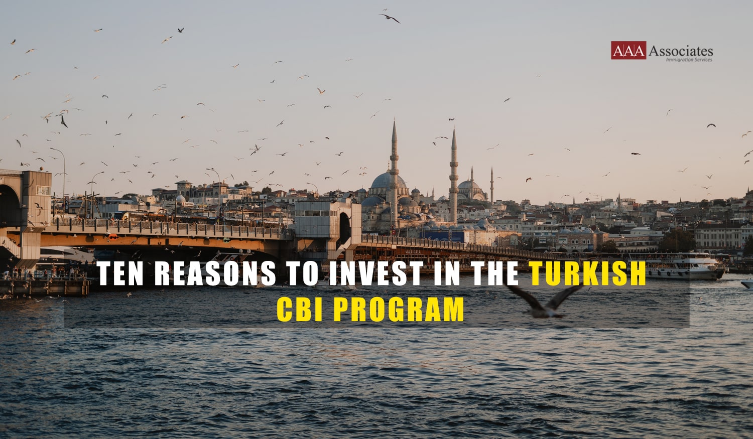 Ten Reasons to Invest in Turkish CBI Program